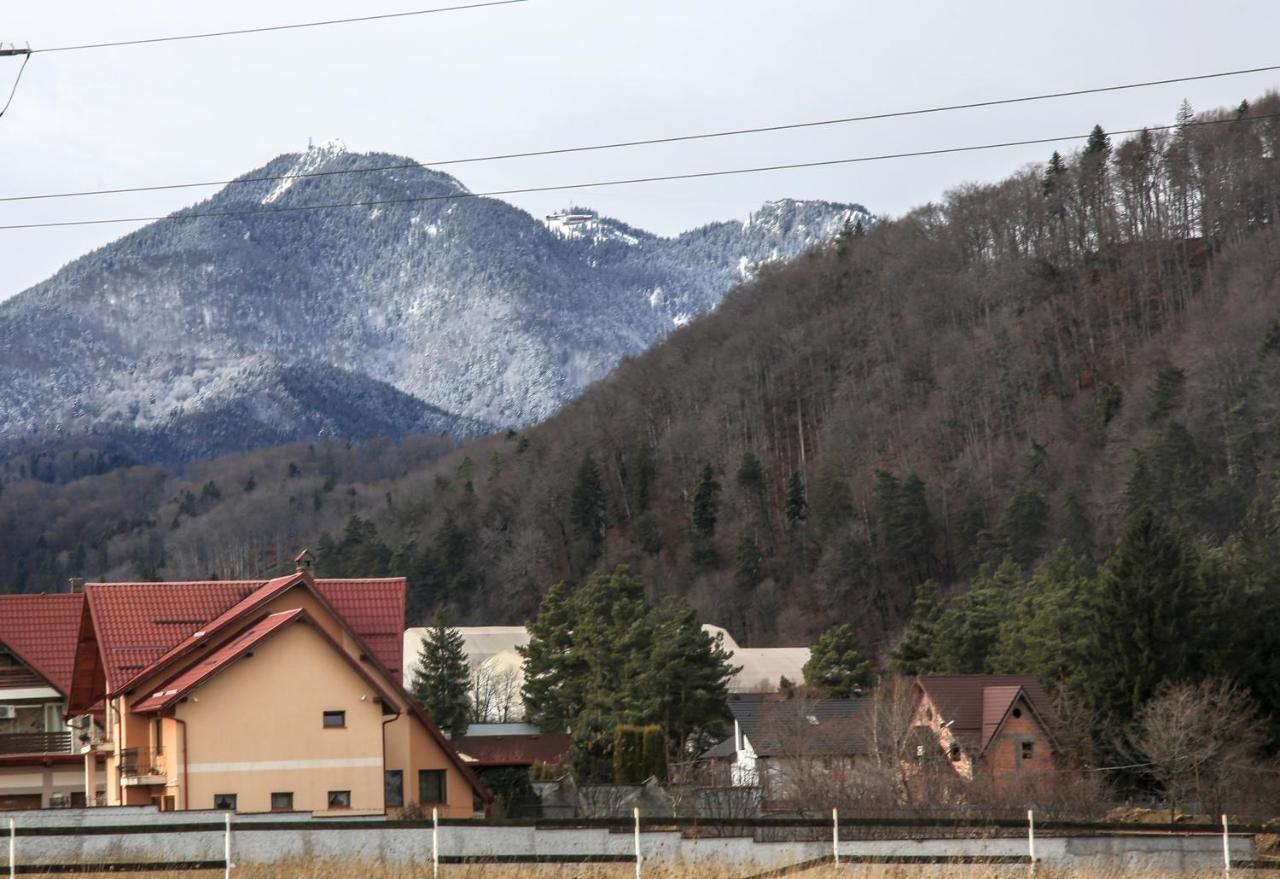 Carpen View Residence Négyfalu Kültér fotó
