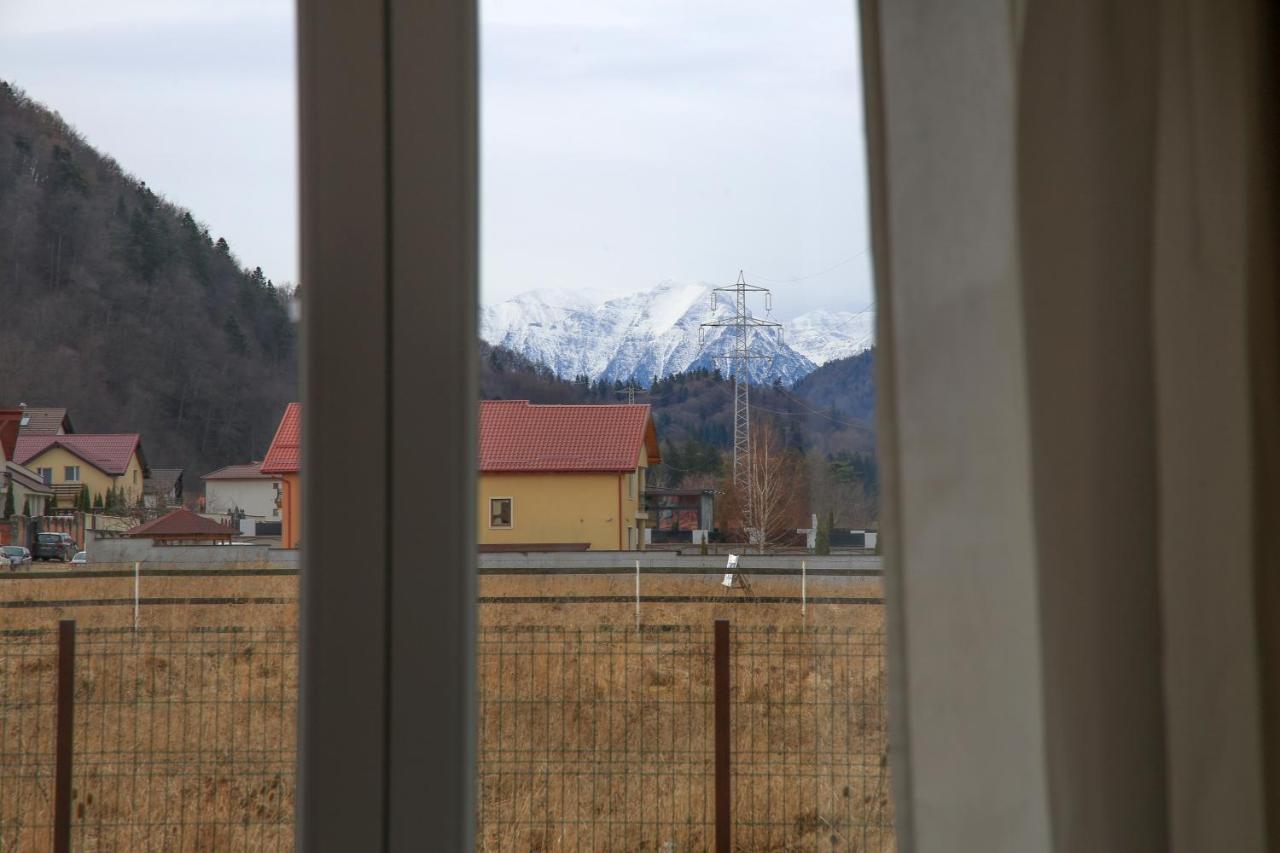 Carpen View Residence Négyfalu Kültér fotó