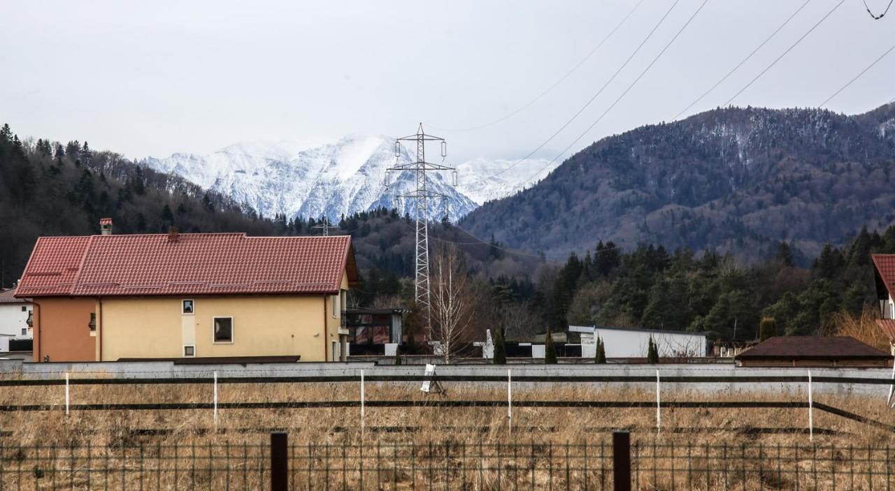 Carpen View Residence Négyfalu Kültér fotó