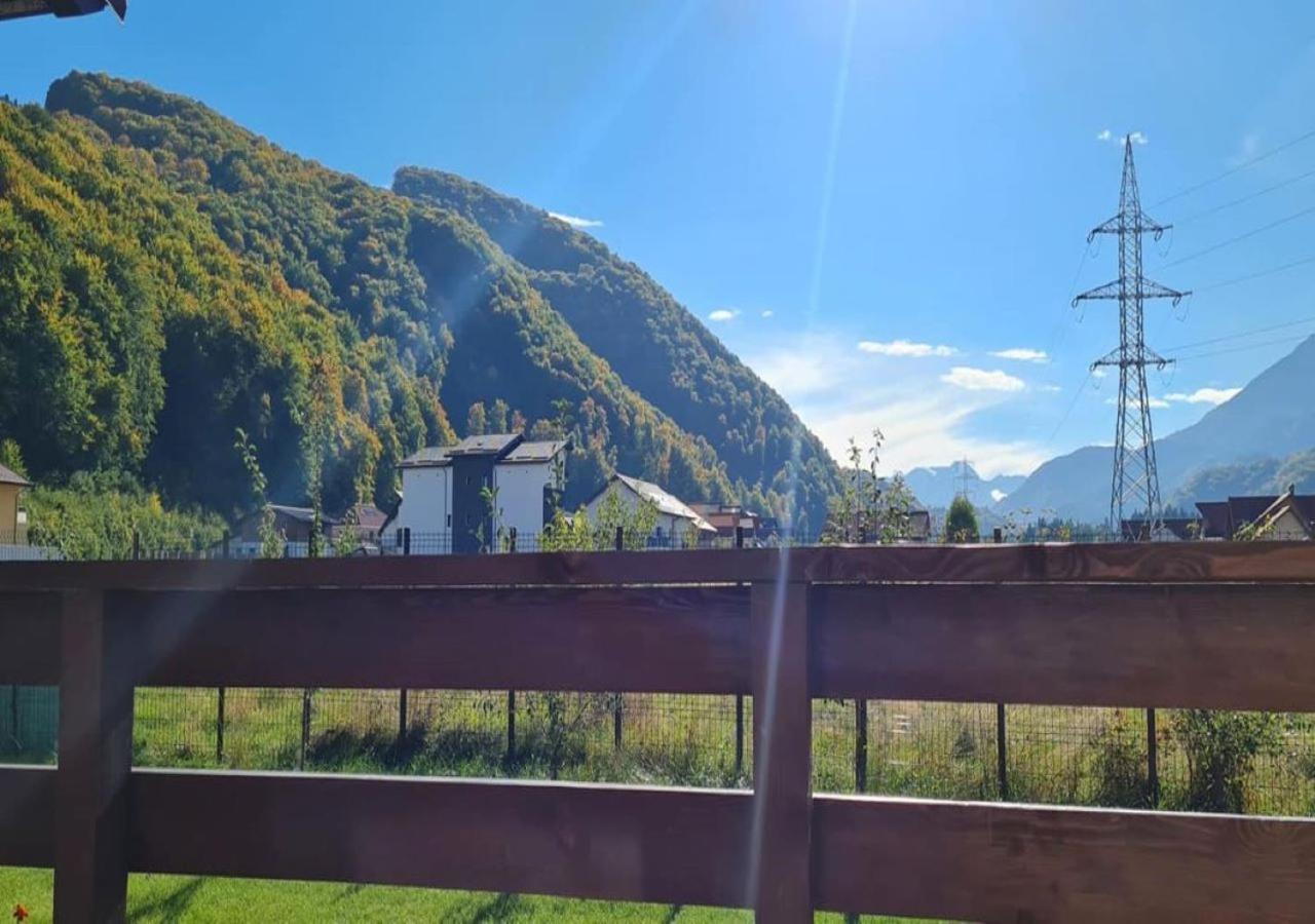 Carpen View Residence Négyfalu Kültér fotó