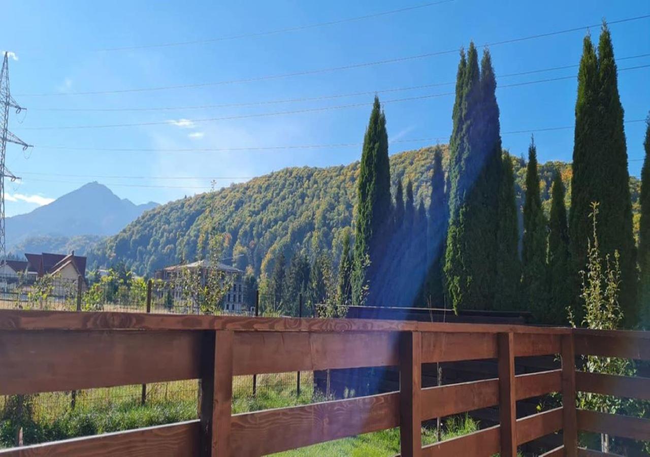 Carpen View Residence Négyfalu Kültér fotó