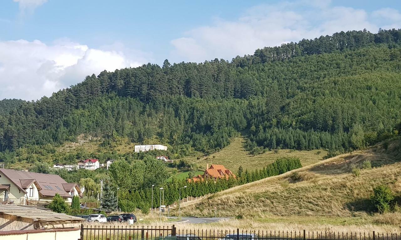 Carpen View Residence Négyfalu Kültér fotó