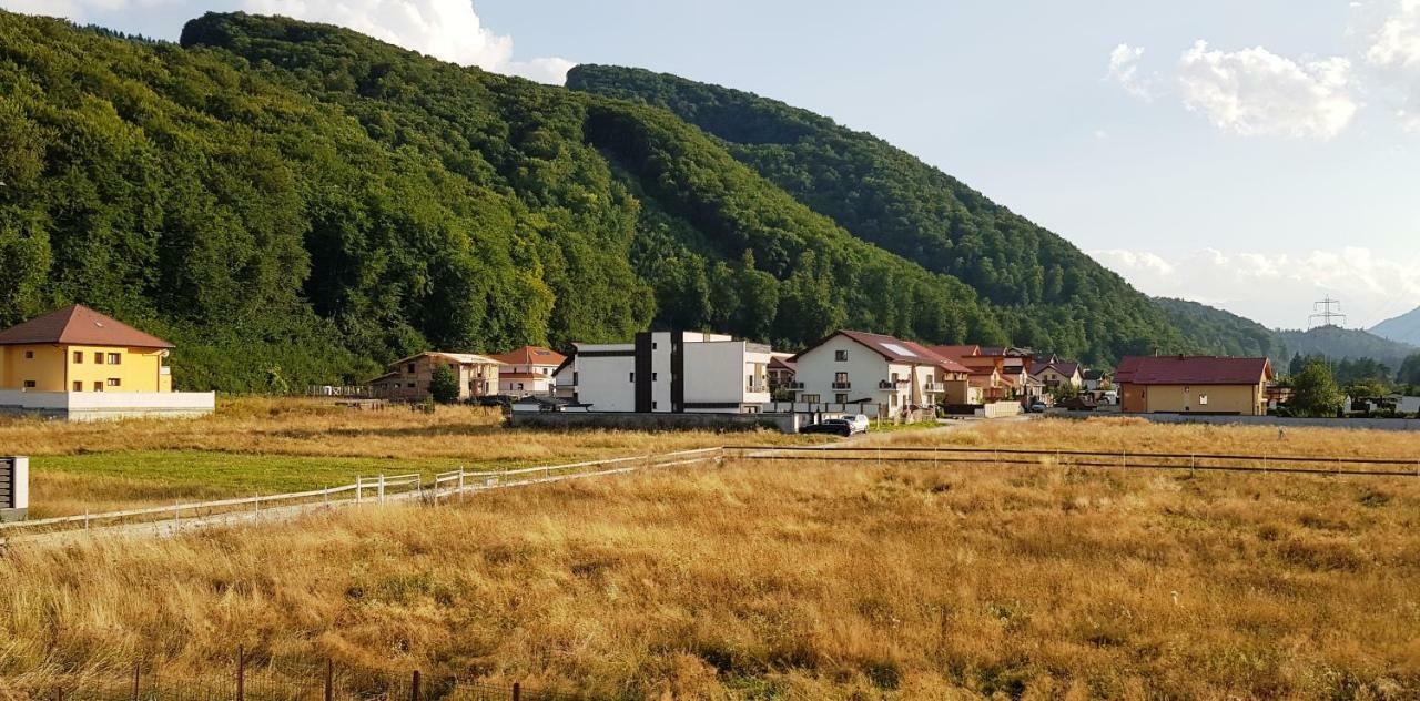 Carpen View Residence Négyfalu Kültér fotó