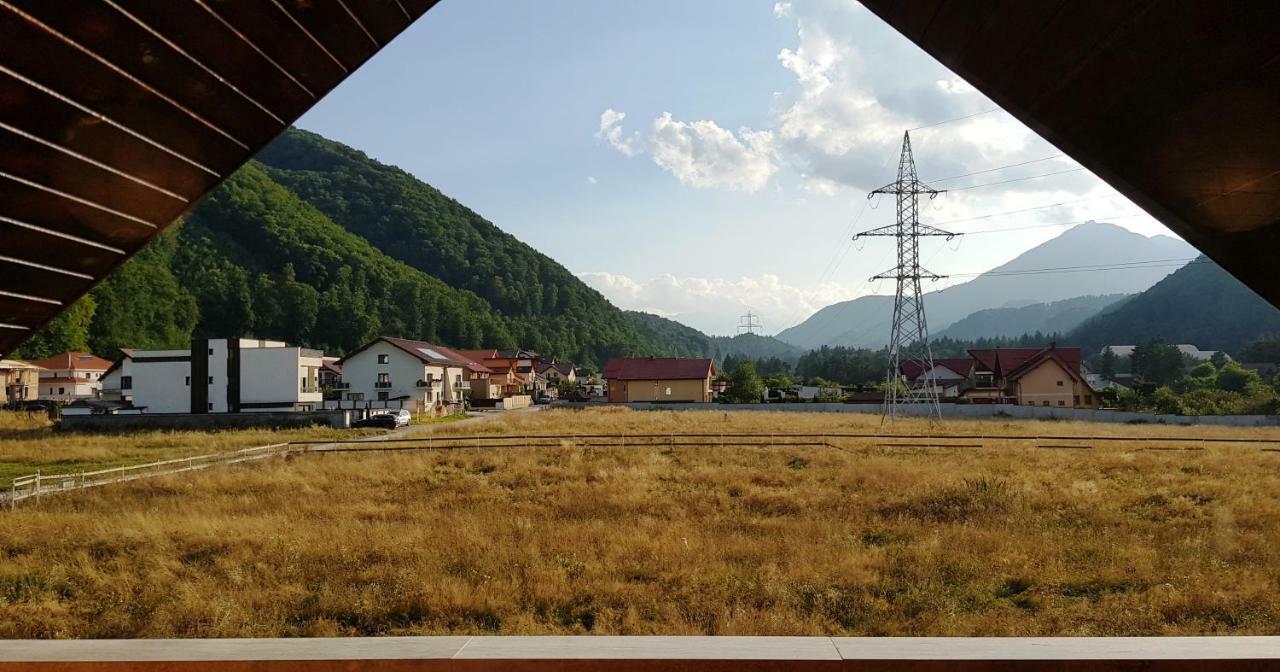 Carpen View Residence Négyfalu Kültér fotó
